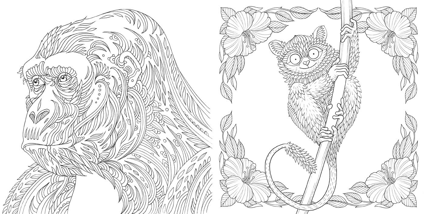 Nature Odyssey A Wild Coloring Journey by Sterling Publishing 1