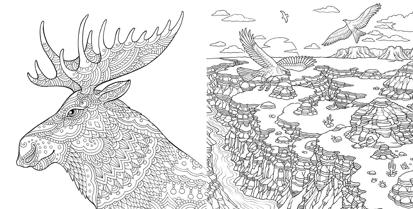 Nature Odyssey A Wild Coloring Journey by Sterling Publishing 2