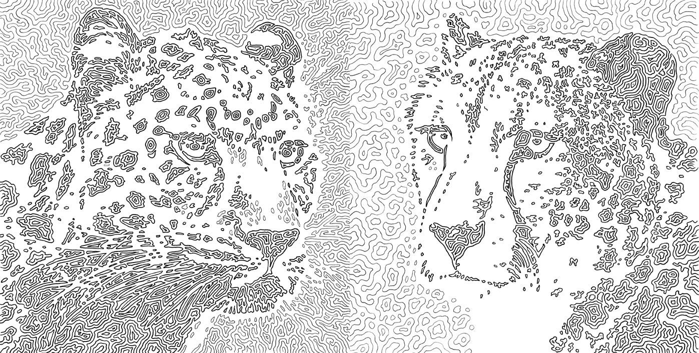 Nature Odyssey A Wild Coloring Journey by Sterling Publishing 5