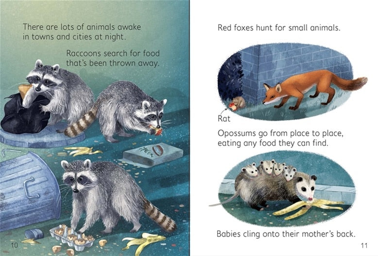 Night Day Animals Usborne Beginners by Usborne 1