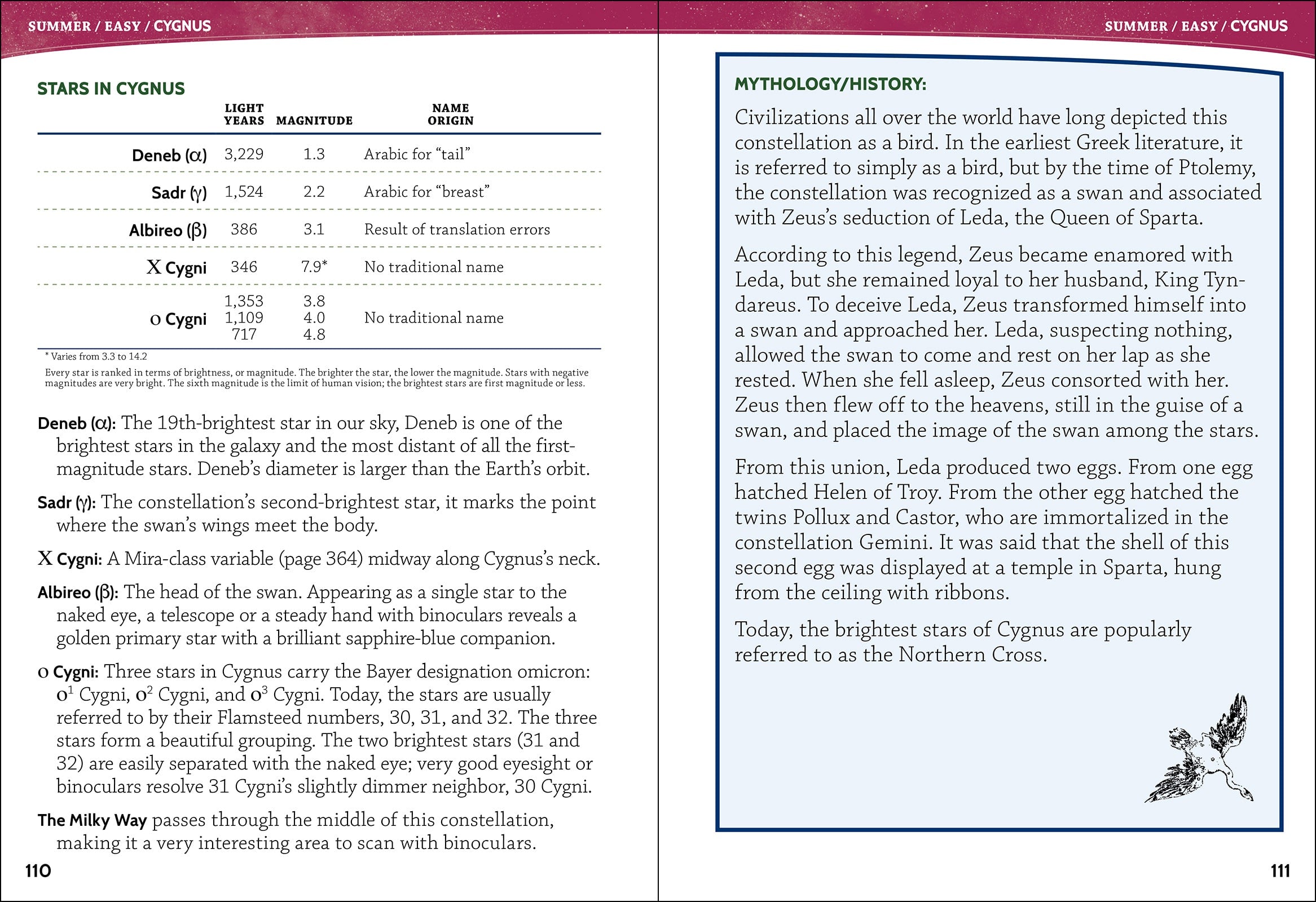 Night Sky A Field Guide to the Constellations by Adventure Publications 2