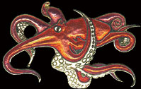 Octopus Pin by WM Spear Designs