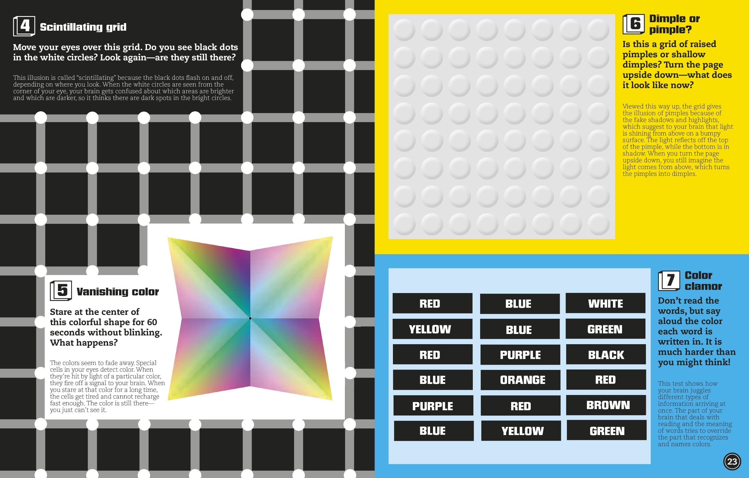 Optical Illusions by Dorling Kindersley 3