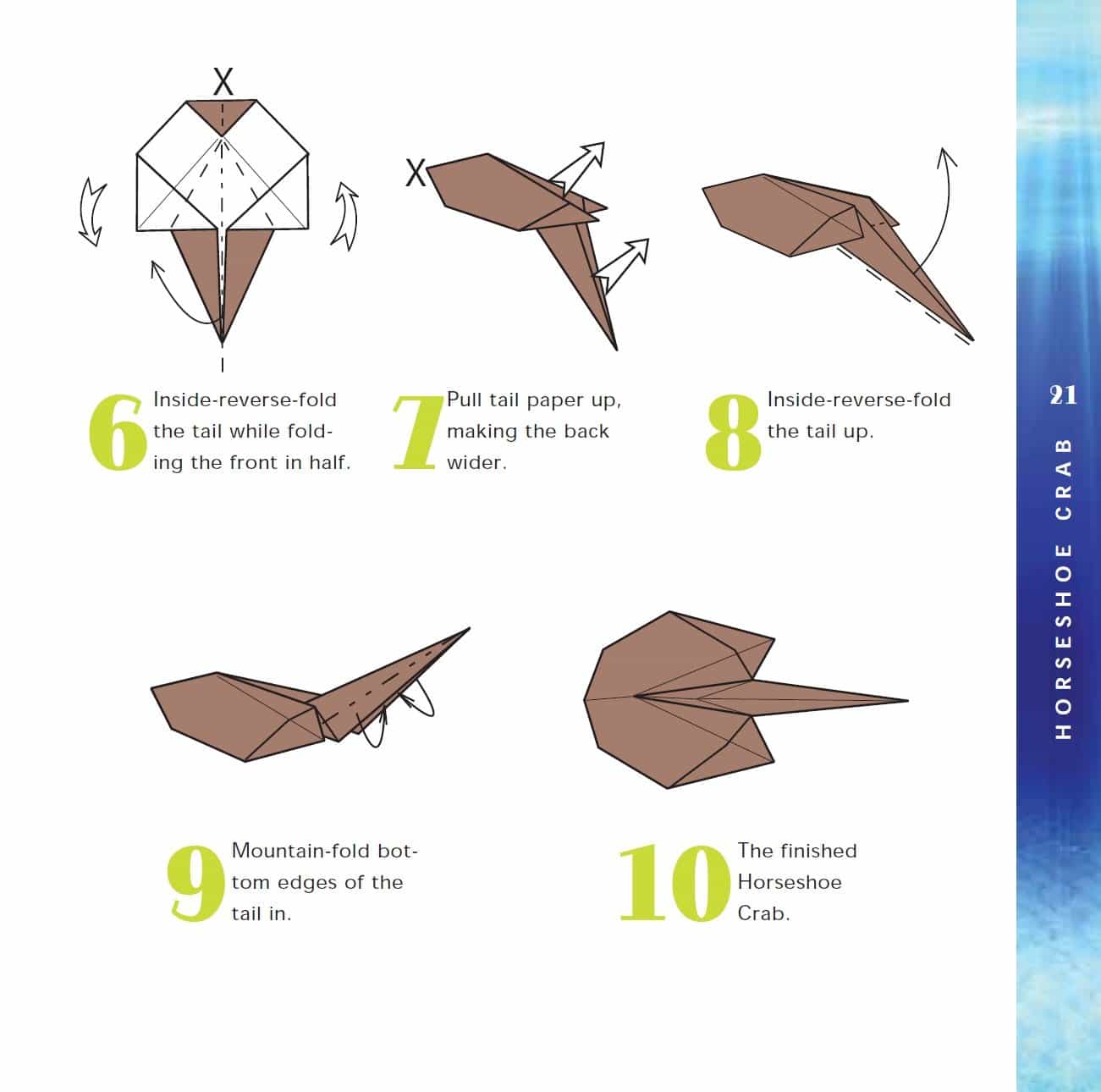 Origami Aquarium Kit by Tuttle 2