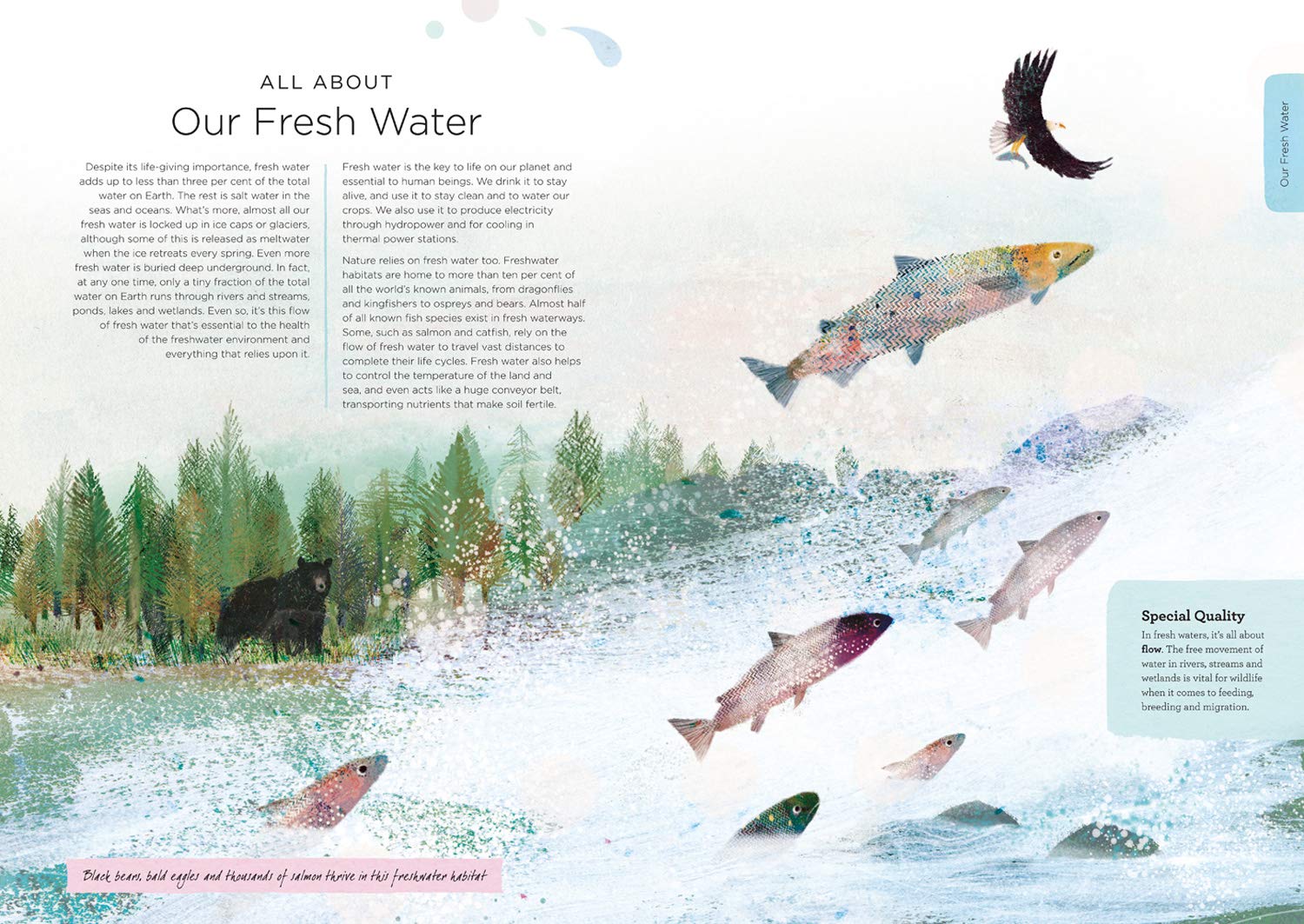 Our Planet by Harper Collins 2