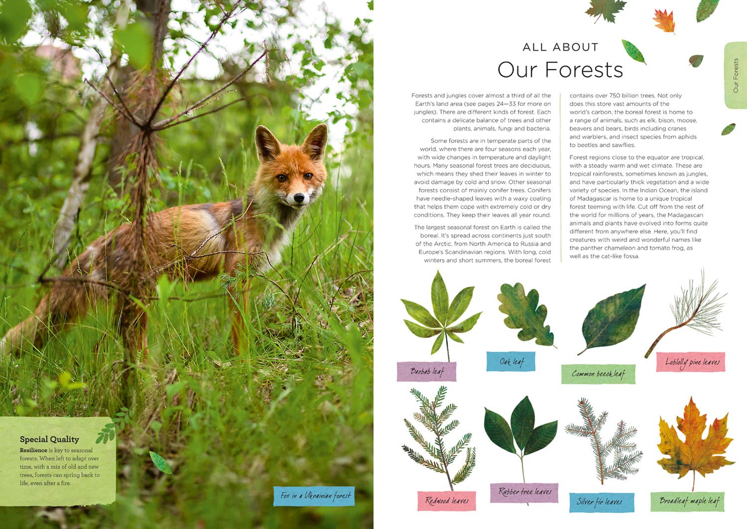 Our Planet by Harper Collins 3