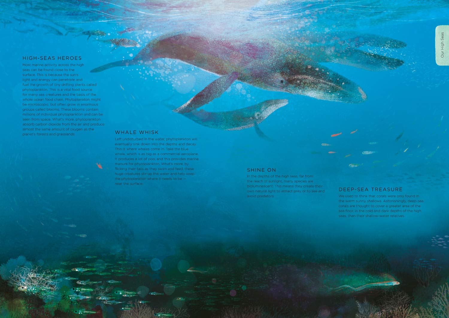 Our Planet by Harper Collins 8