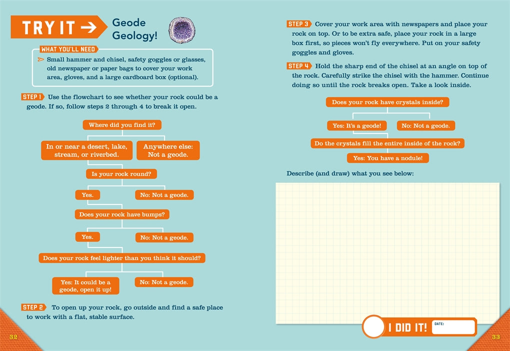 Outdoor School Rock Fossil and Shell Hunting by Odd Dot 3