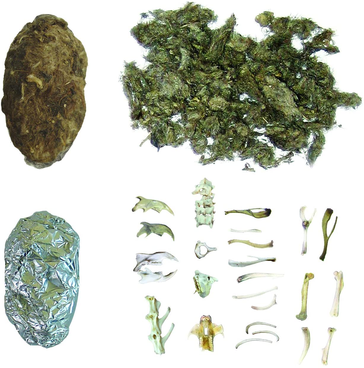 Owl Pellets by Copernicus 1