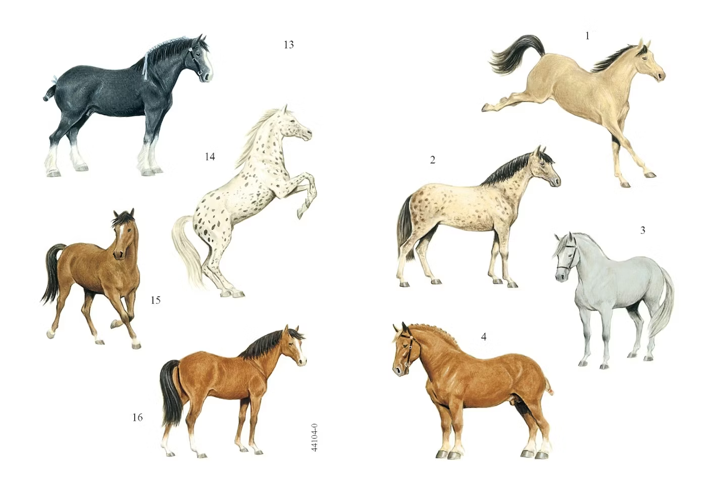 Favorite Horses Stickers by Dover Publications
