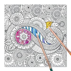 Peaceful Paisleys Adult Coloring Book by Peter Pauper Press 6