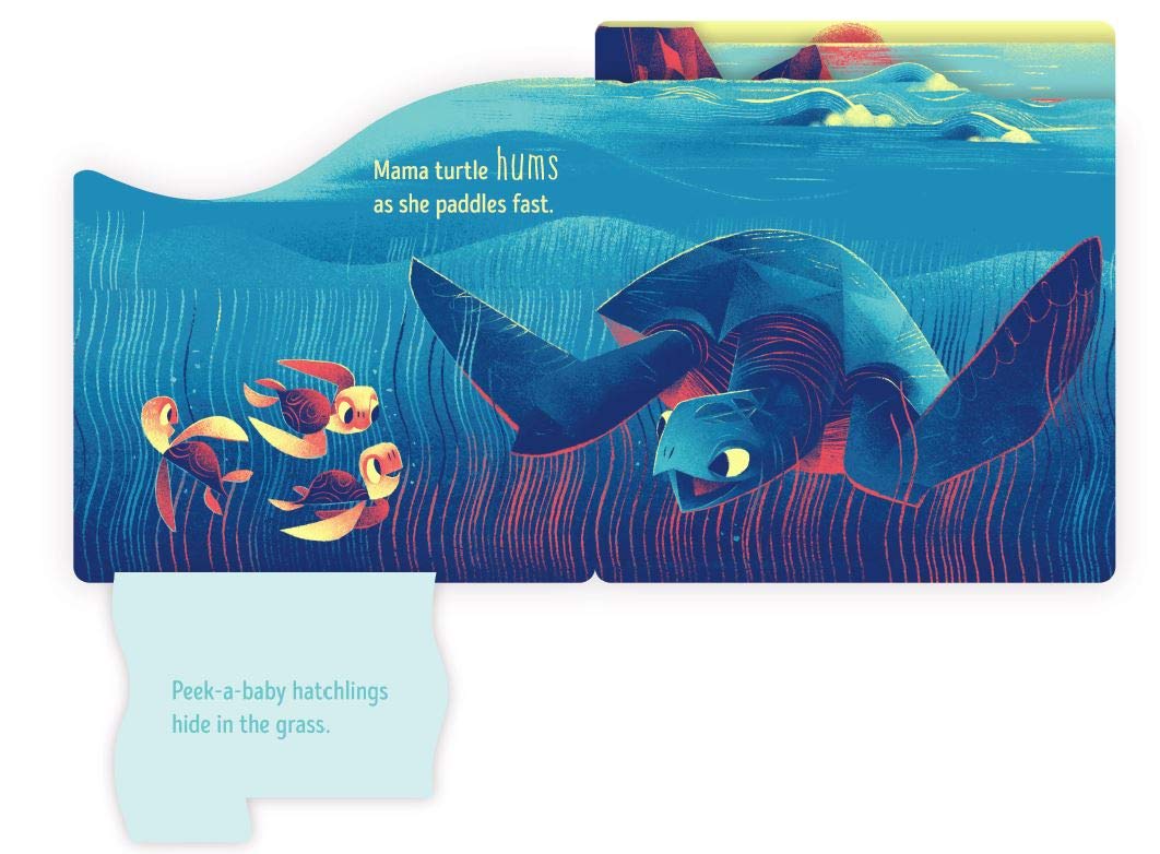 Peek a Baby Ocean by Chronicle Books 2