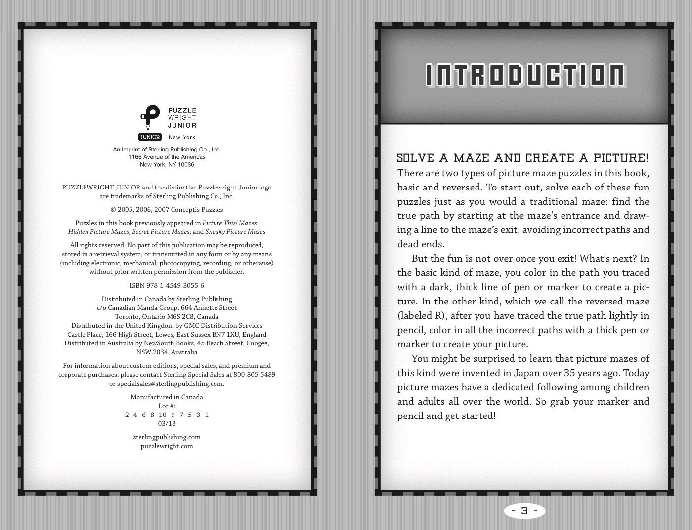 Picture Maze Puzzles for Bright Kids by Sterling Publishing 1