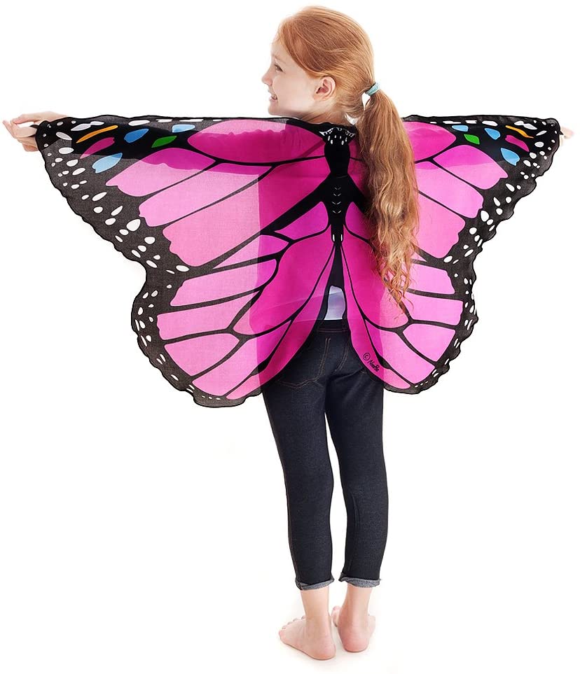 Pink Butterfly Wings by Douglas 2