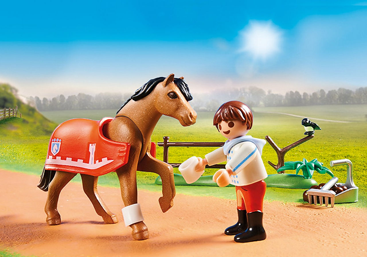 Playmobil Connemara Pony by Playmobil 2