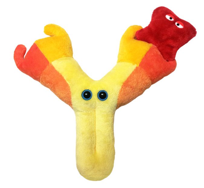 Plush Antibody Immunoglobulin by Giant Microbes 1