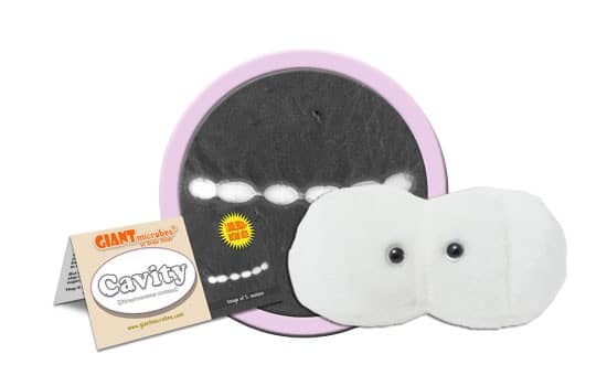 Plush Cavity by Giant Microbes