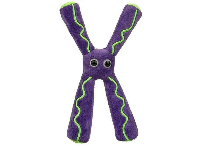 Plush Chromosome by Giant Microbes 1