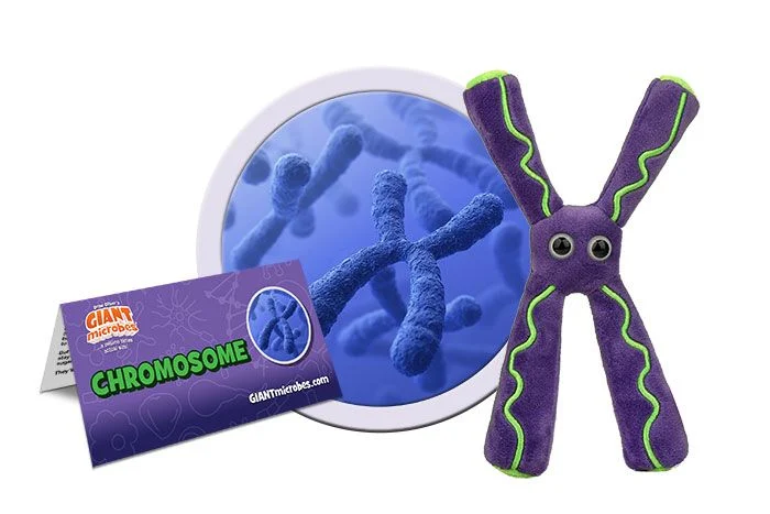Plush Chromosome by Giant Microbes