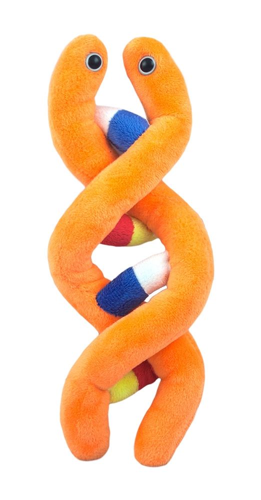 Plush DNA Deoxyribonucleic Acid by Giant Microbes 1
