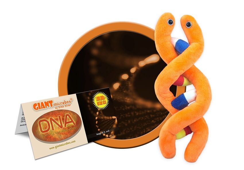 Plush DNA Deoxyribonucleic Acid by Giant Microbes