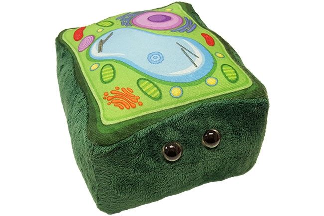 Plush Plant Cell by Giant Microbes