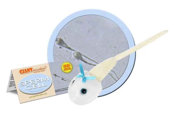 Plush Sperm-by-Giant Microbes