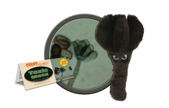 Plush Toxic Mold by Giant Microbes