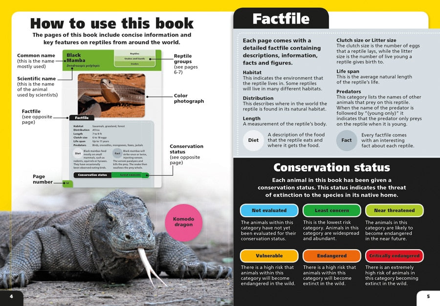 Pocket Books Reptiles by Kane Miller 1