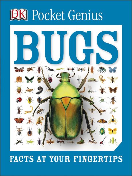 Pocket Genius Bugs by Dorling Kindersley