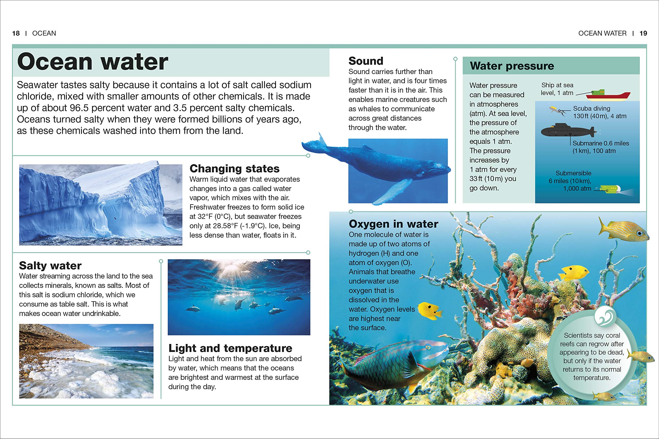 Pocket Genius Ocean by Dorling Kindersley 1