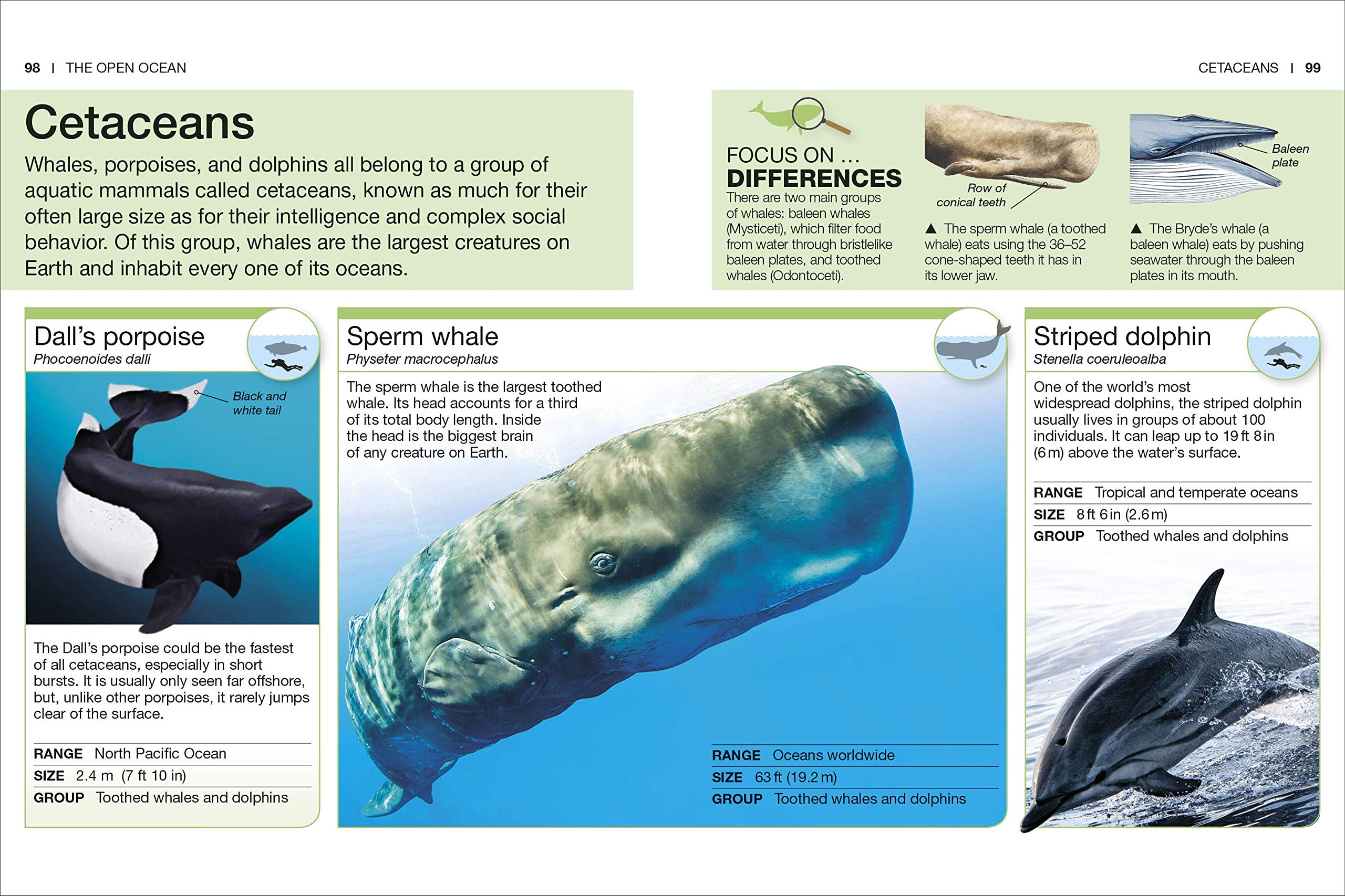 Pocket Genius Ocean by Dorling Kindersley 6