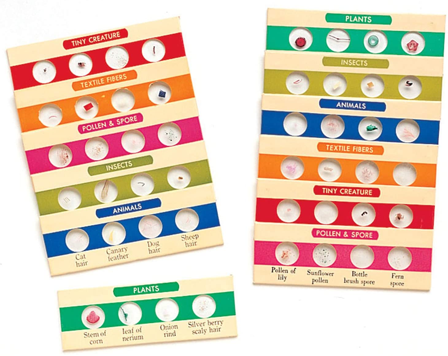 Prepared Slides Bundle by Learning Resources