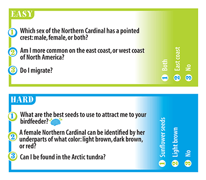 Professor Noggins Birds of North America by Outset Media 1