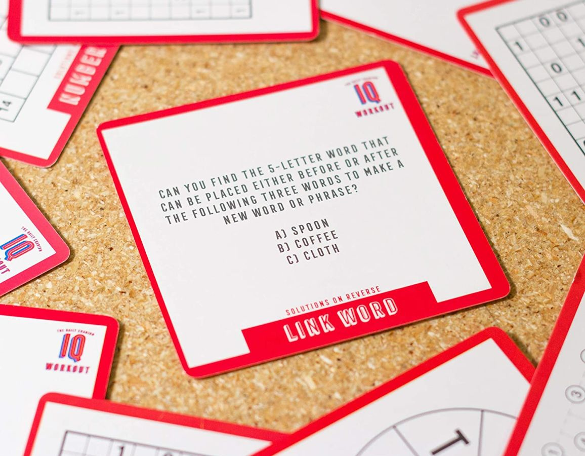 Puzzle a Day Brainteasers by Professor Puzzle 2