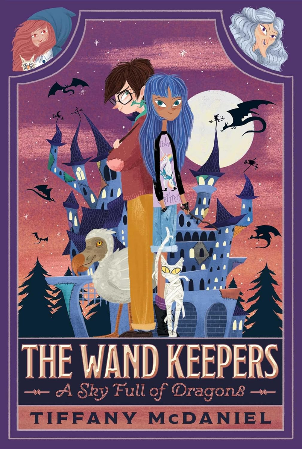 A Sky Full of Dragons (1) (The Wand Keepers) by Sourcebooks