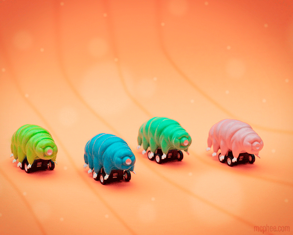 Racing Tardigrades by Archie McPhee 1