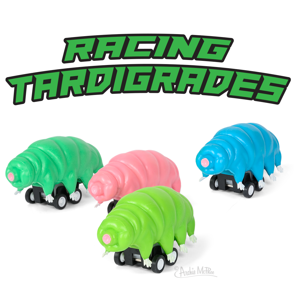 Racing Tardigrades by Archie McPhee