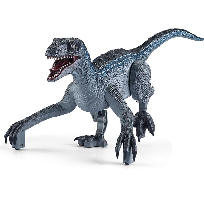 Rapid Raptor RC by Odyssey 1