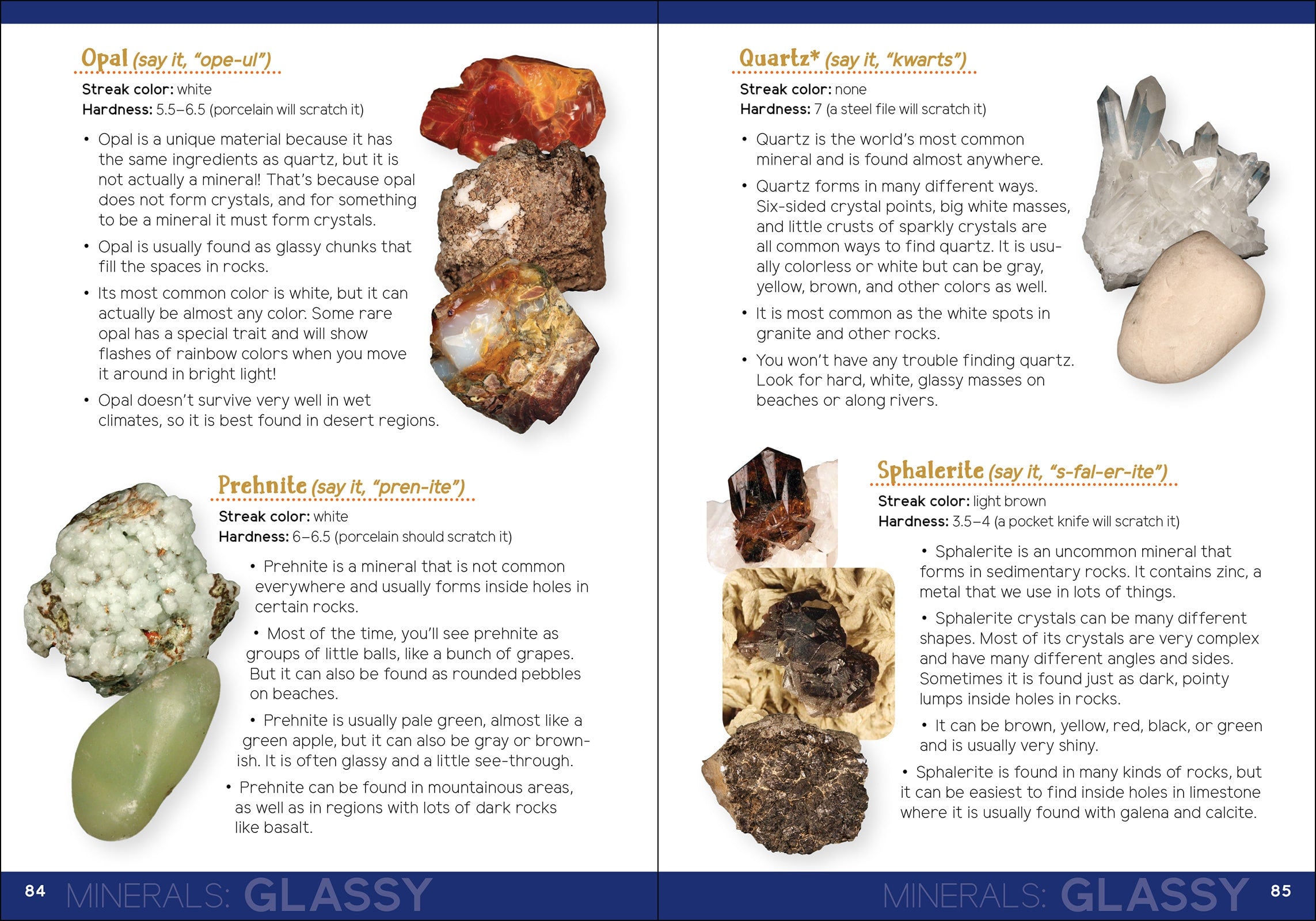 Rock Collecting for Kids An Introduction to Geology by Adventure Publications 3