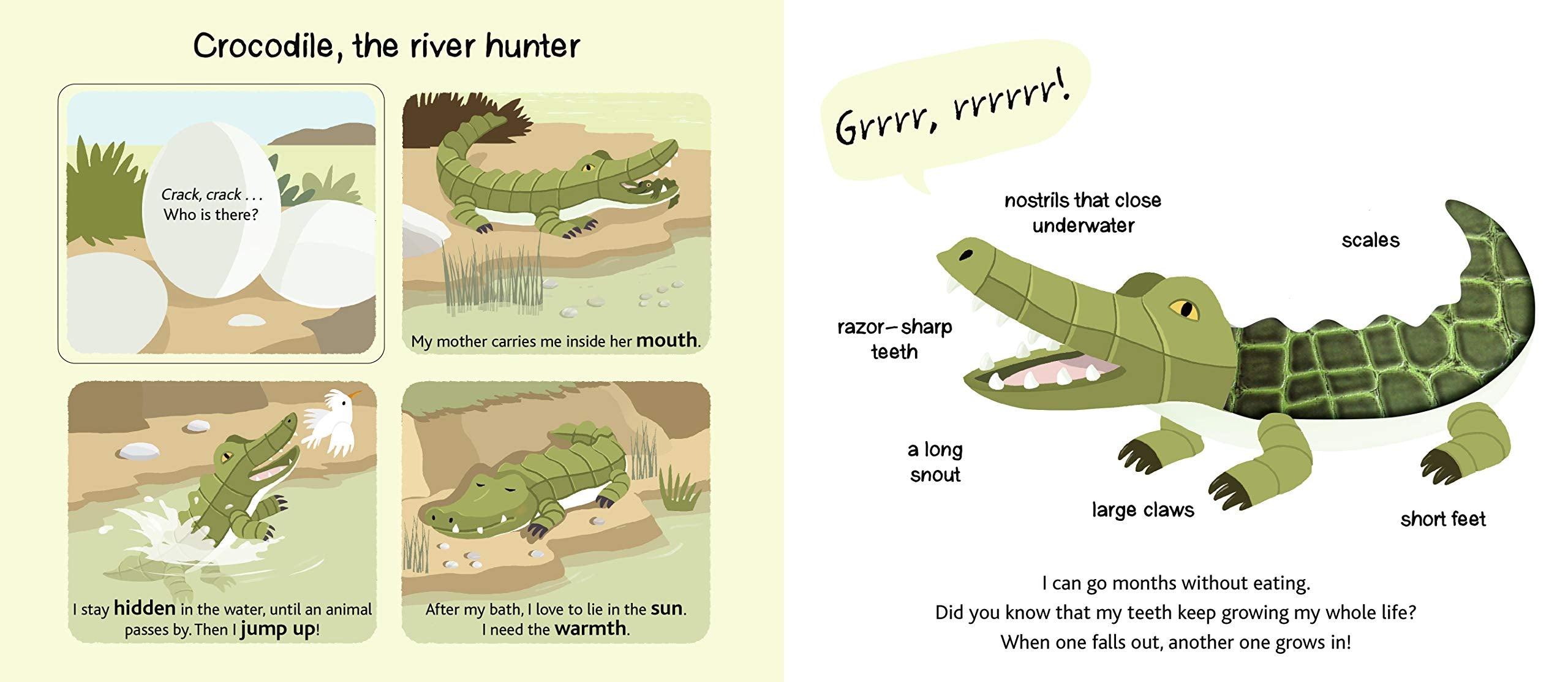 Safari Touch and Explore by Chronicle Books 1