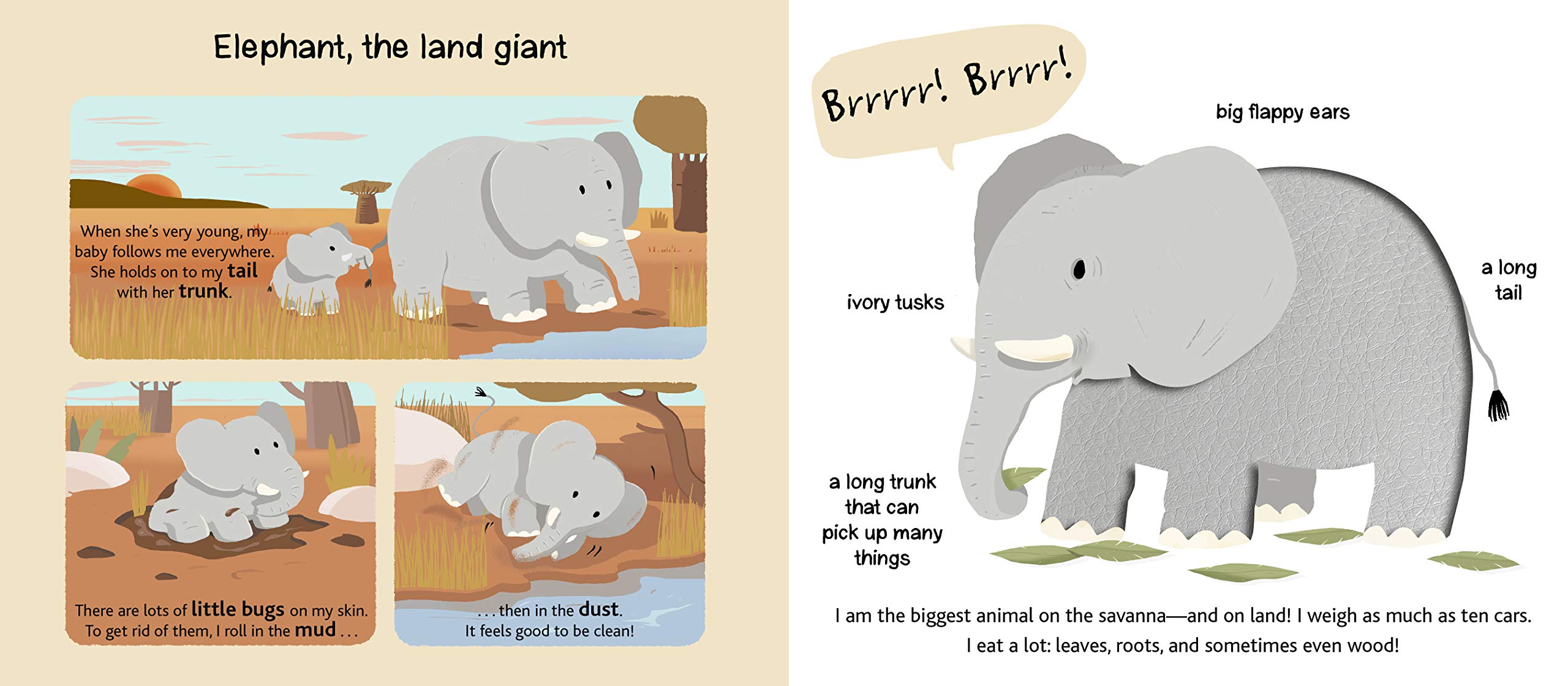 Safari Touch and Explore by Chronicle Books 2