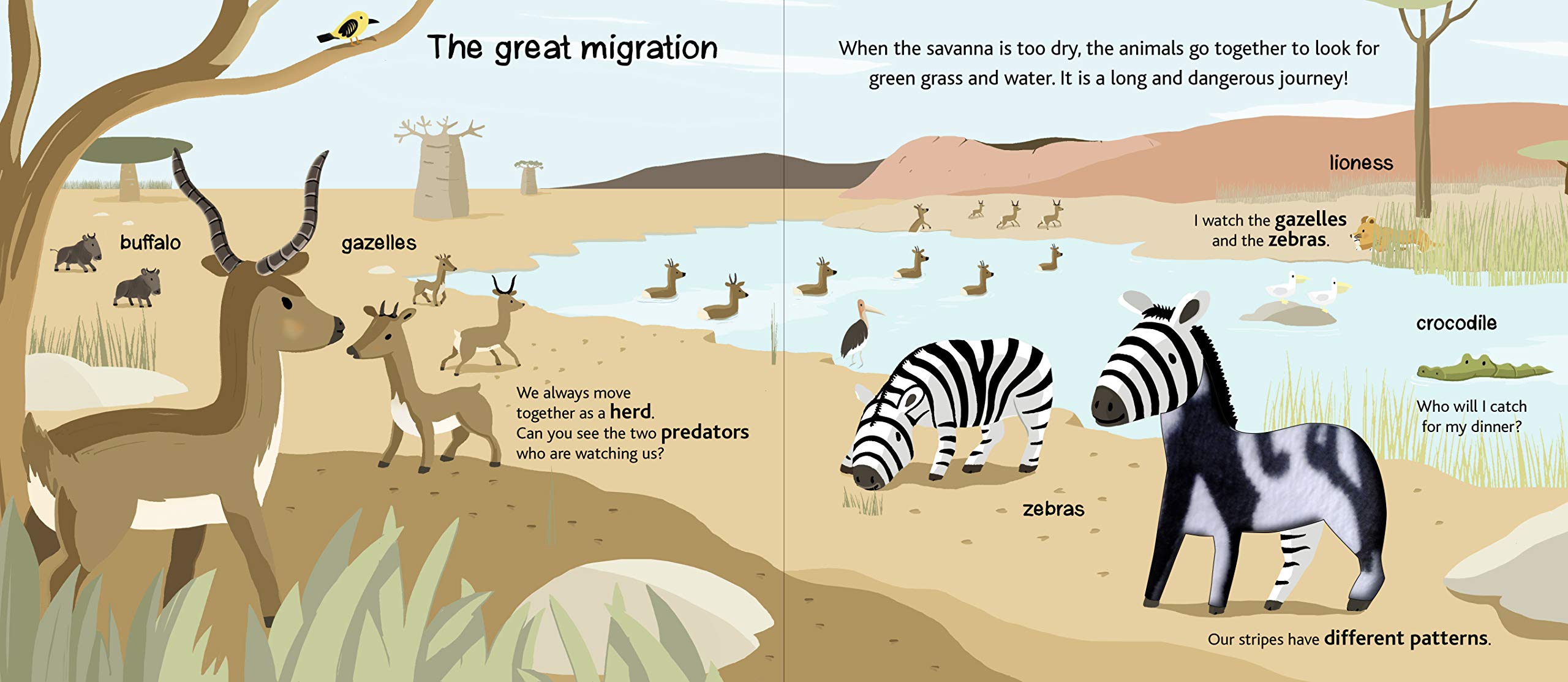 Safari Touch and Explore by Chronicle Books 3