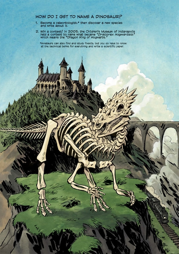 Science Comics Dinosaurs Fossils and Feathers by Science Comics 3