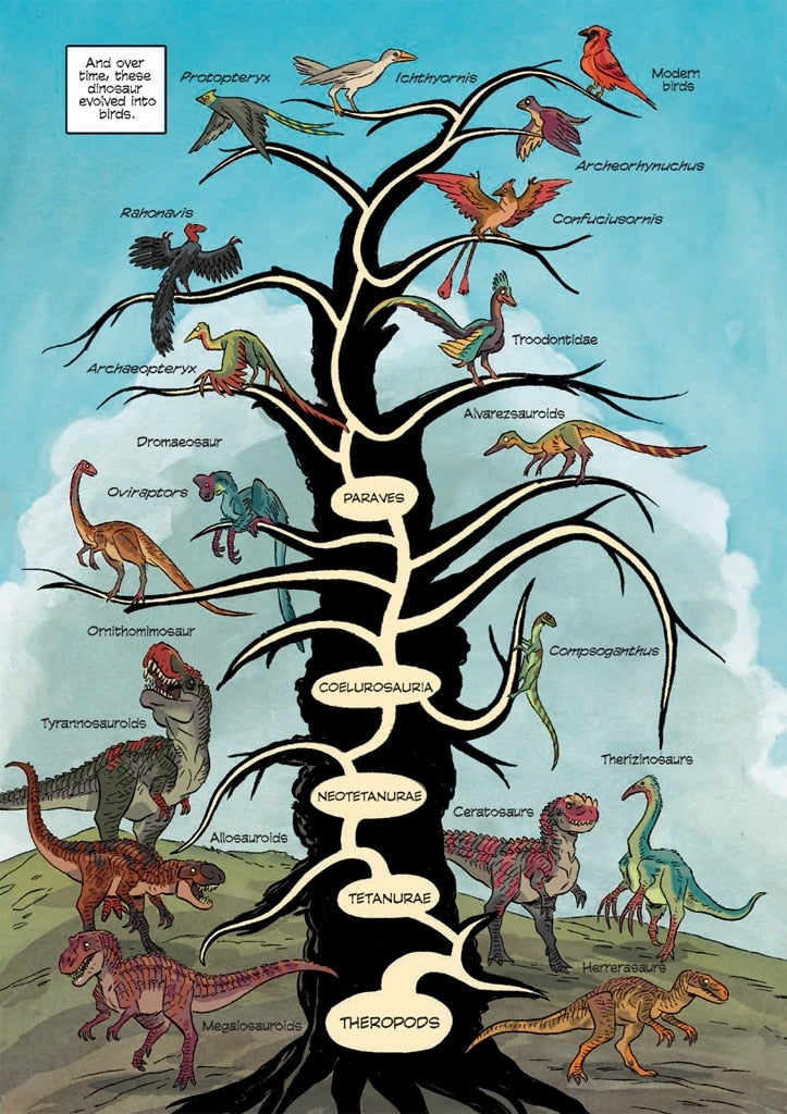 Science Comics Dinosaurs Fossils and Feathers by Science Comics 6