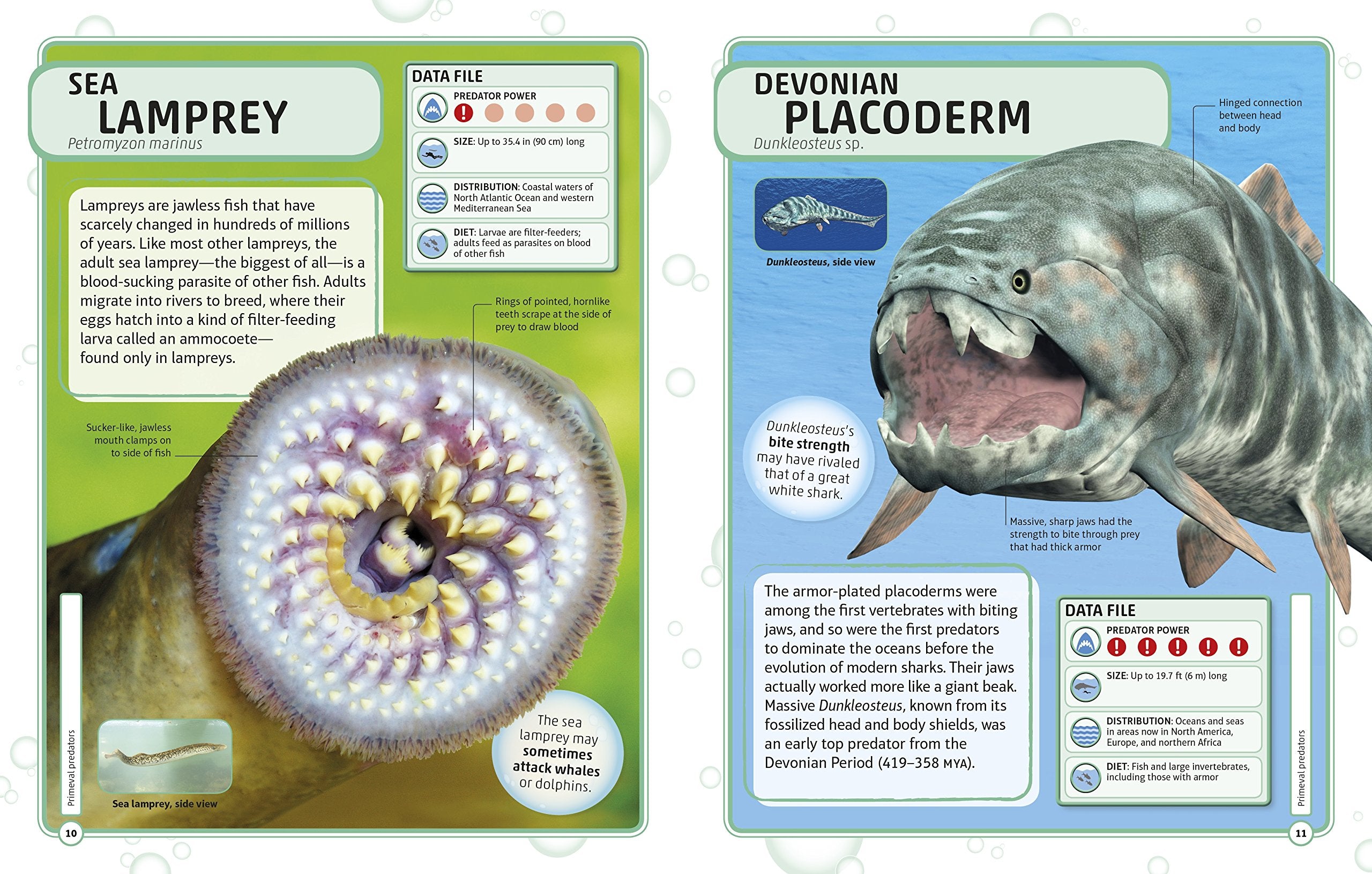 Sharks and Other Deadly Ocean Creatures Visual Encyclopedia by Dorling Kindersley 1