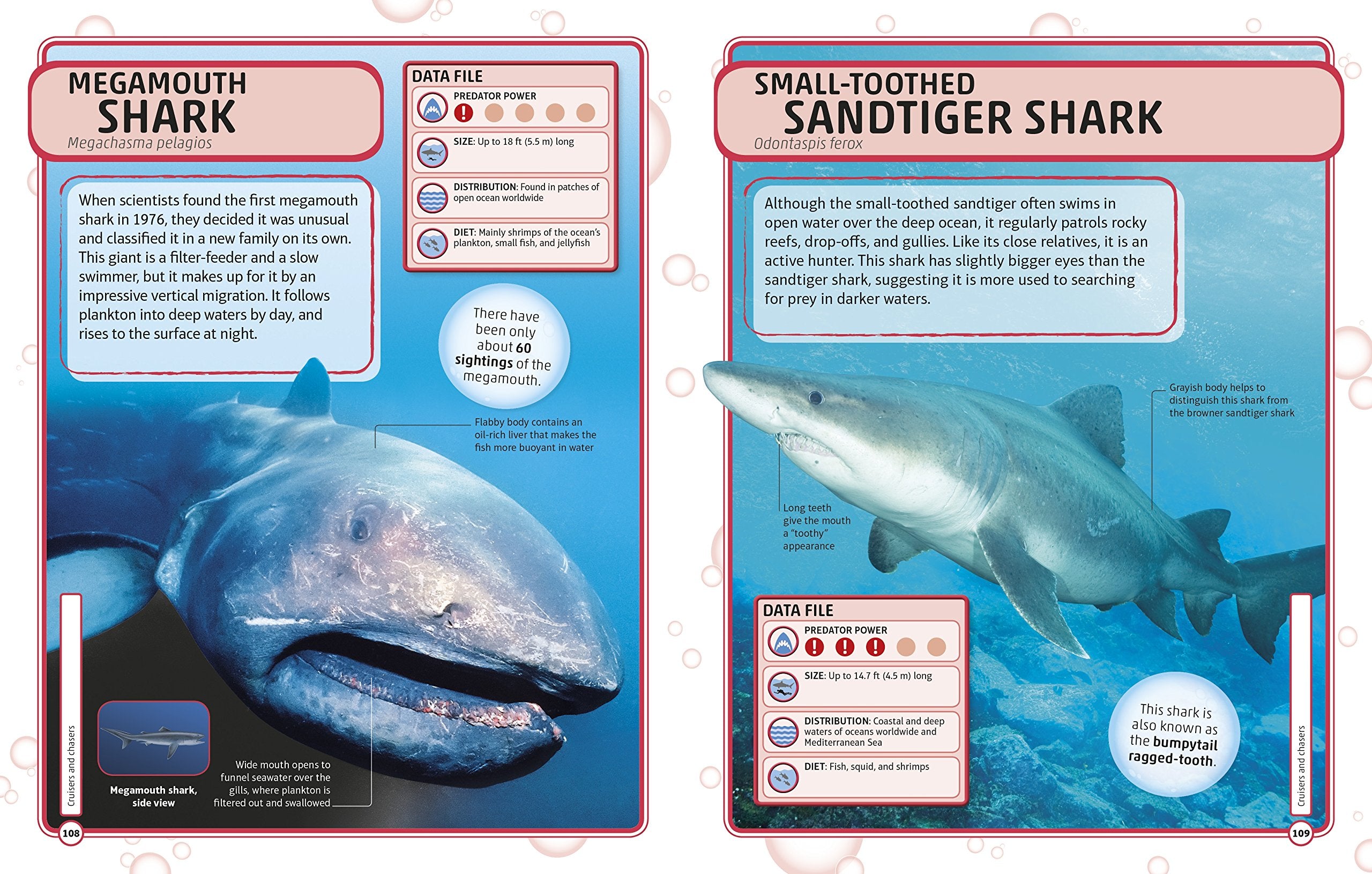 Sharks and Other Deadly Ocean Creatures Visual Encyclopedia by Dorling Kindersley 4