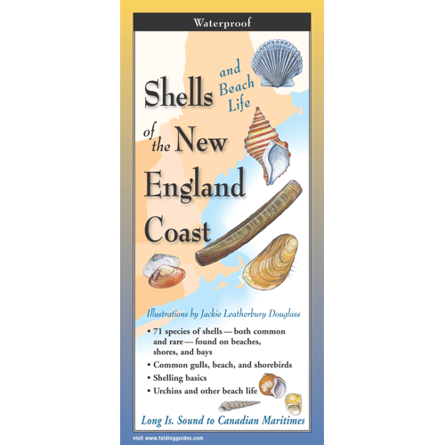 Shells and Beach Life of the New England Coast Folding Guide-by-Earth Sky + Water