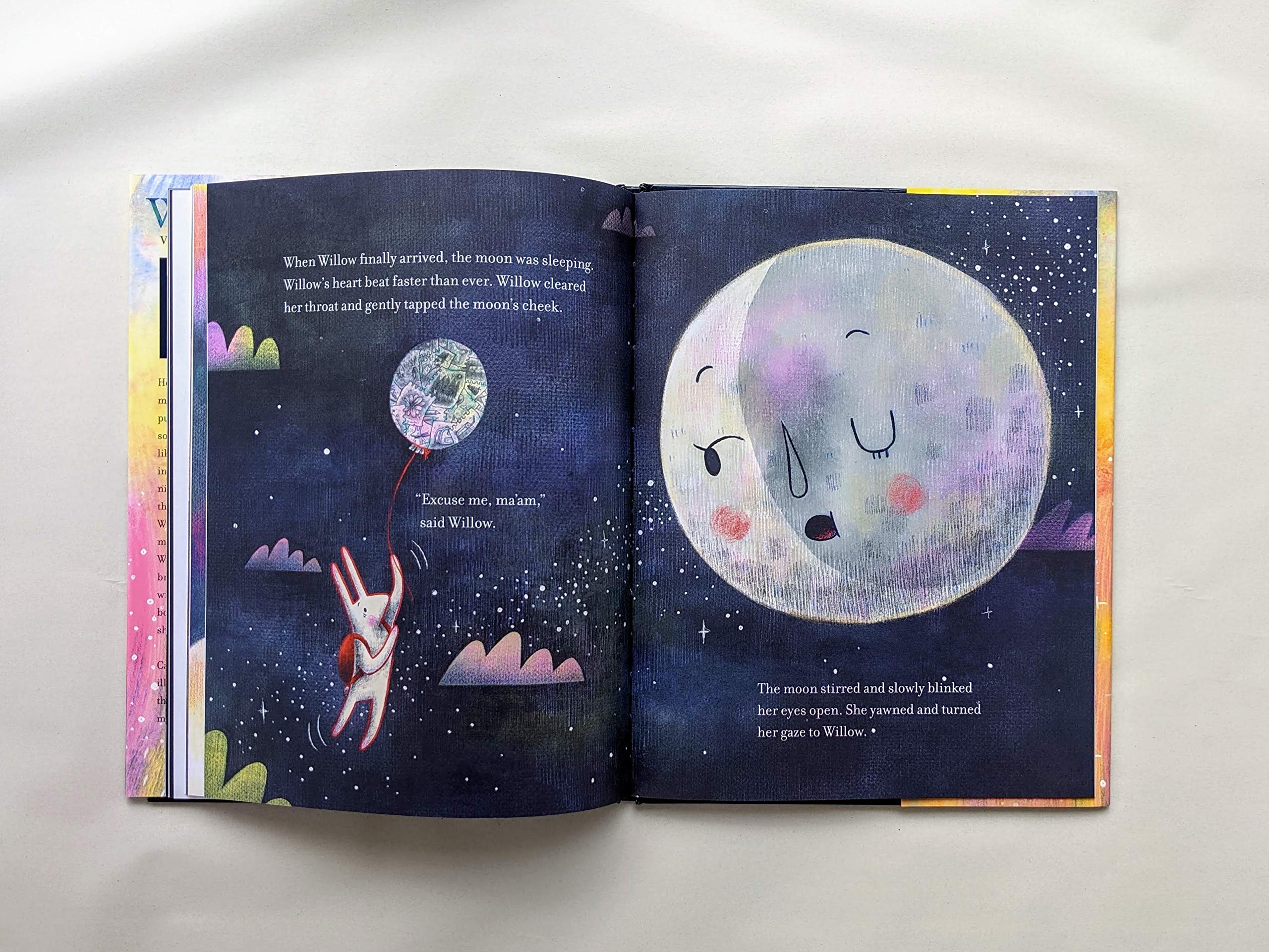 Shy Willow by Chronicle Books 4