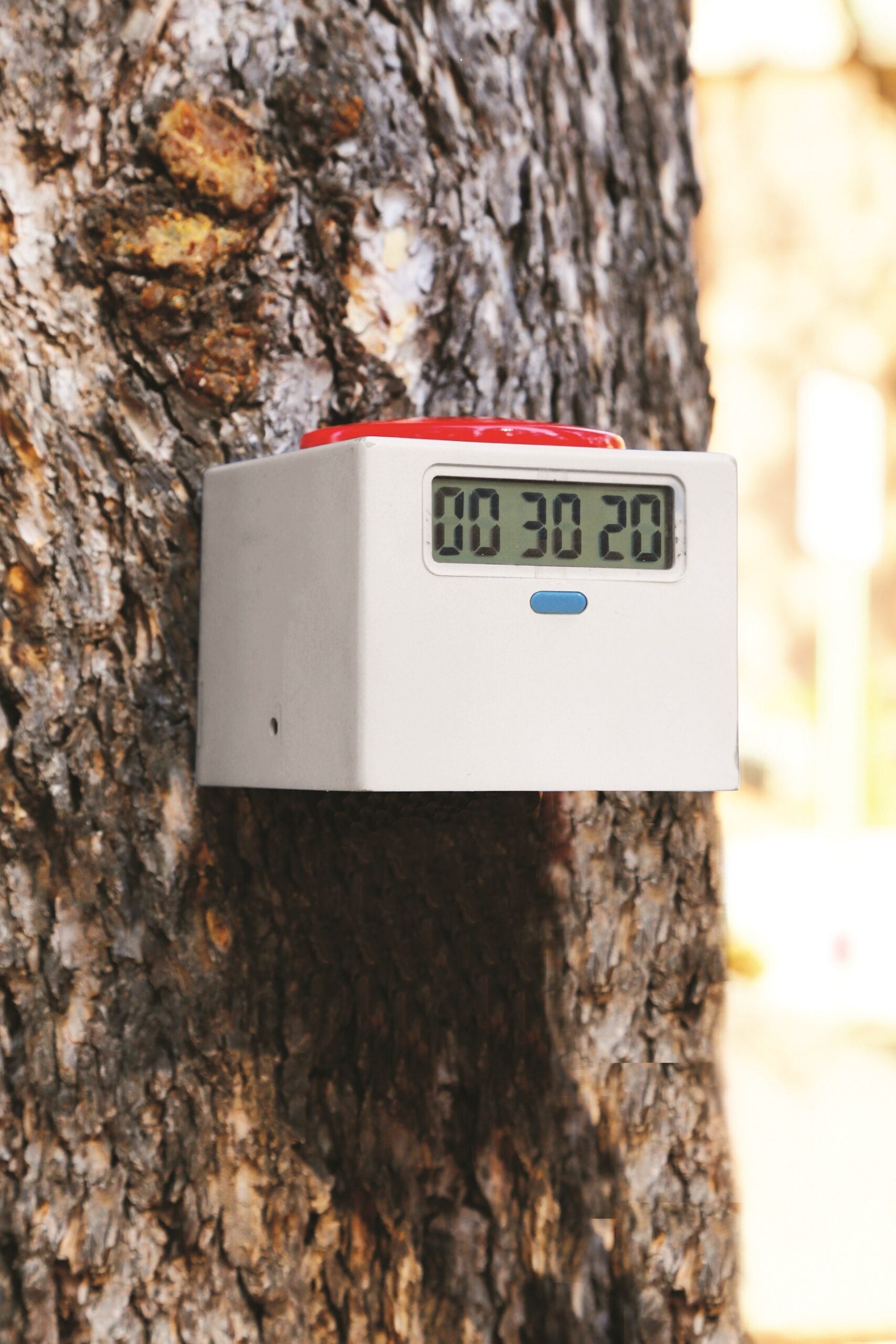 Slackers Ninja Timer by Slackers 2 scaled